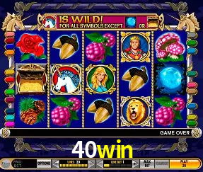 Live Casino 40win